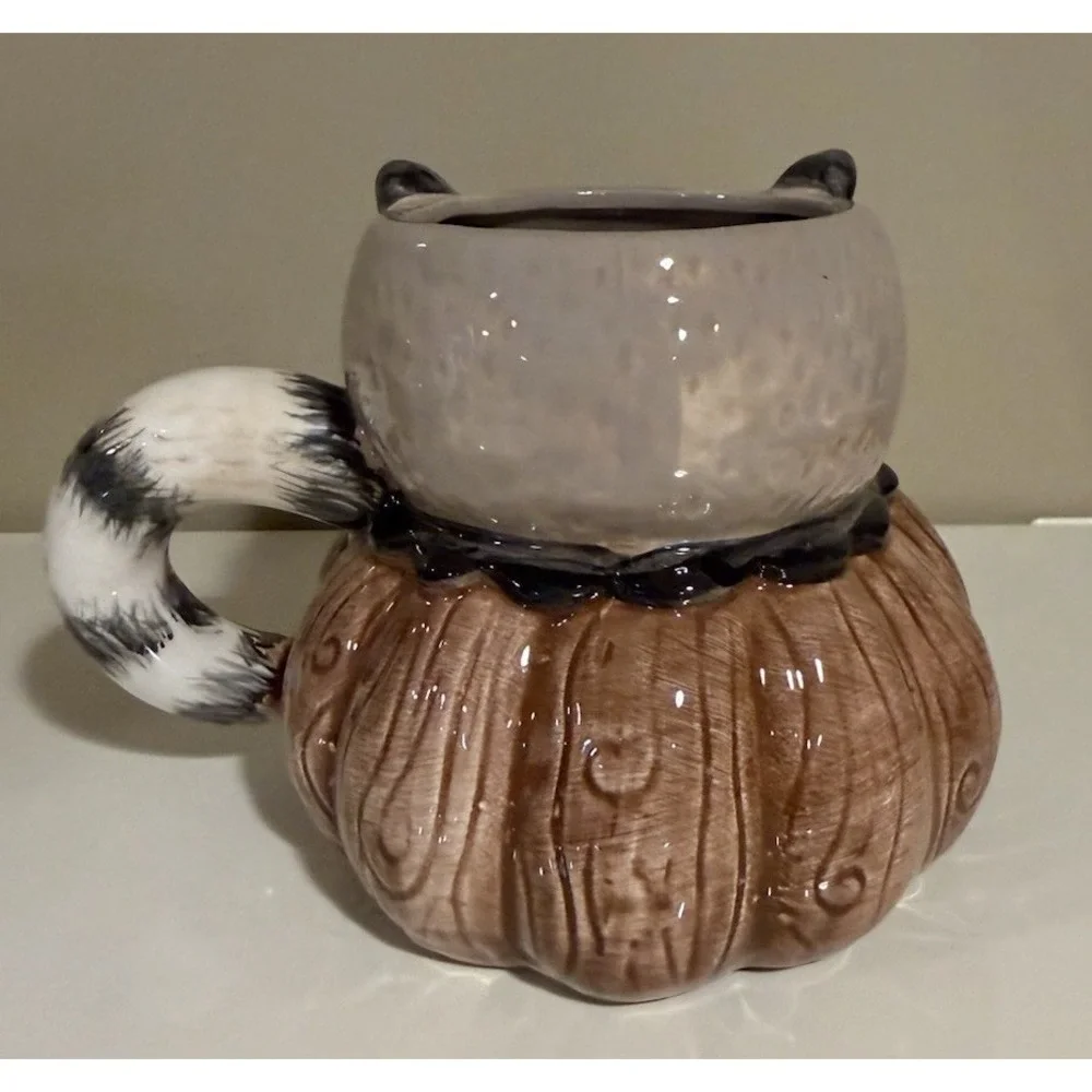 Johanna Parker Thanksgiving Raccoon Critter Jar + Mug Set New Viral TikTok